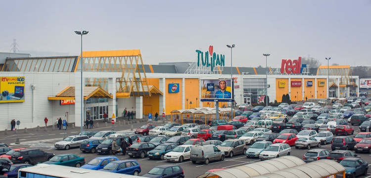Tulipan_Lodz.jpg